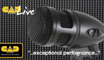 D88 Supercardioid Kick Drum Microphone