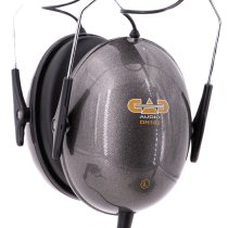 DH100